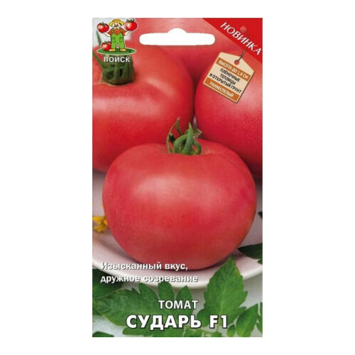 ���� ������ ����� ������ F1 12�� ����� ������ (�����), ������ �� 45 ���