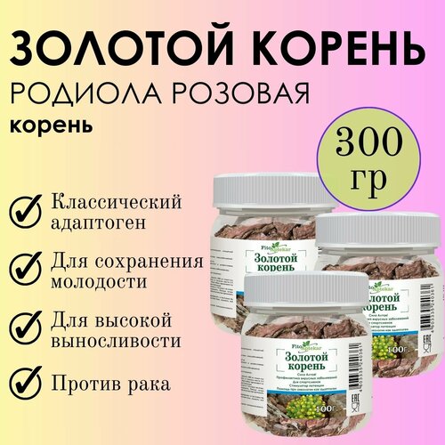 ���� ������� ������ �������� ��������� - ��������� �� 