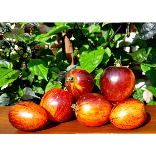 ���� ������ ������ ��������� (Gargamel) / Seeds And Goods / � �������� zip-lock ��� ���������� 10 �����, ������ �� 269 ���