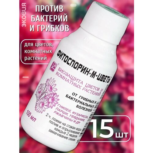 ���� ���������� ��������� ��������� ����� �� �������� � ������, ������ �� 1272 ���