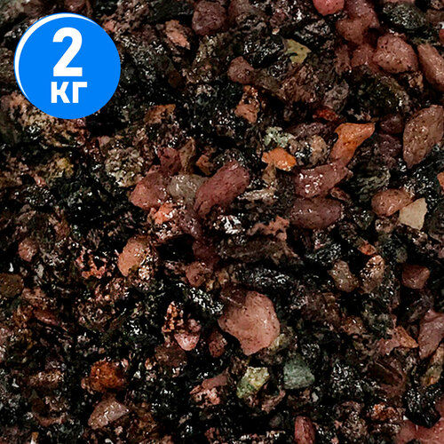 ���� ����������� ����� ��� ��������, ����������� � ��������, Zoo One, ��������� ��������, 