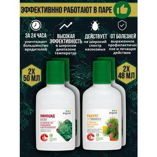 ���� �������� �� �������� � ���������� ������� �������� ������ 48 �� + ������� 50 ��, ����� 4 ��, ������ �� 2899 ���