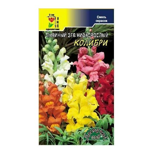 ���� ������ �������� ��� 