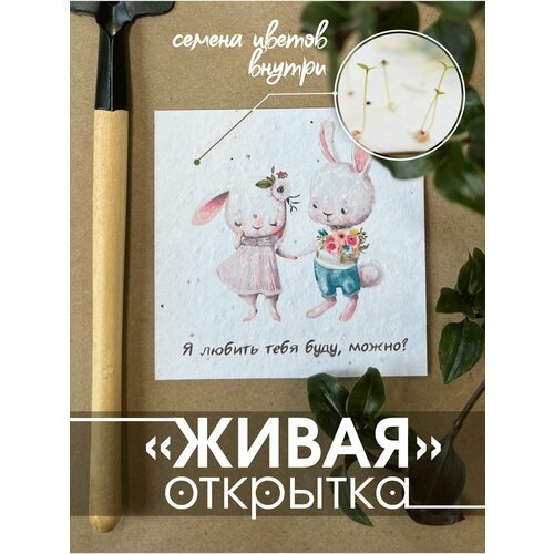 ���� �������� 