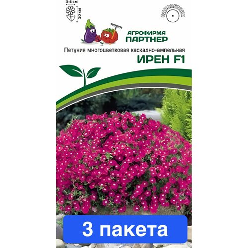 ���� ����� ������� ������ ���� F1 3 ������, ������ �� 1018 ���