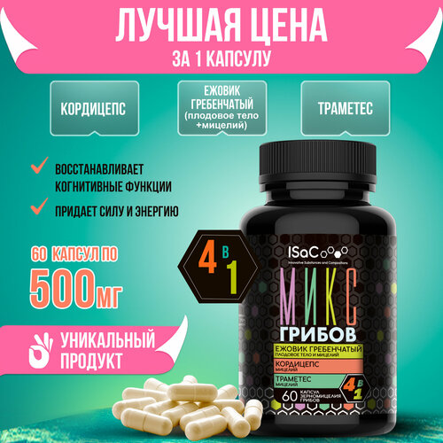 ���� ���� ������ ��� ����� ������ - ������ �����������, ��������, ��������, ������ �� 851 ���