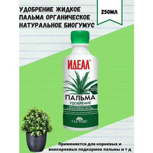 ���� ��������� ������ 250��,