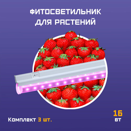    ,    ,     LED 16  900  3 ,   2495 