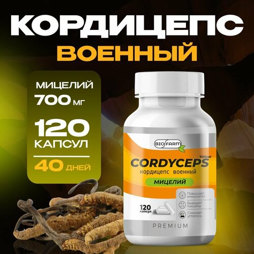 ���� ��������� ������� � �������� 700��, �������� ��� ���������� � ������, ������ �� 985 ���