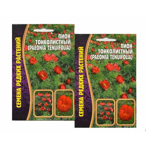 ���� ���� ������������ ����������� / ������ ������ ��� ����, ������ �� 322 ���