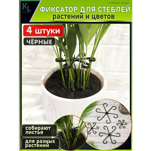 ���� KoLeli / ������ ����� ��� ����� ������� �������� / ������ ��� ��������� � �������� ������� � �����, ������, ������ �� 520 ���