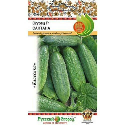 ���� ������ ������ ������� F1 10�� ������������������ (��), ������ �� 43 ���