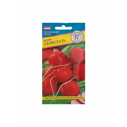 ���� ������ ����� ������� F1 1� ������ (�������), ������ �� 83 ���