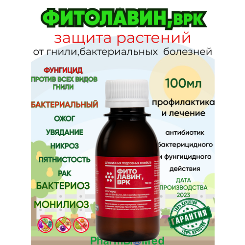 ���� ��������� 100��. �������� ��� ������ ��������., ������ �� 460 ���