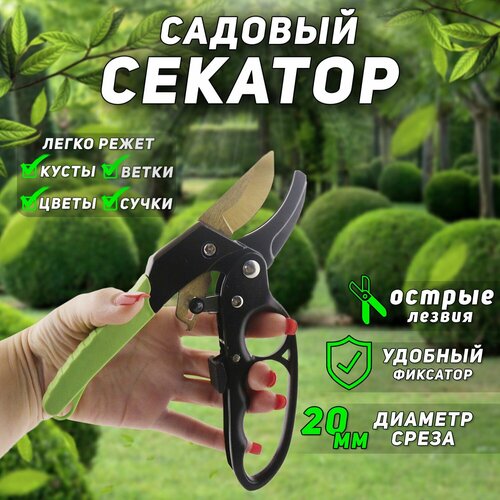 ���� �������-�������� ������� ���������������� (� �������� ���������� � ����������, ������) SF-118-J 