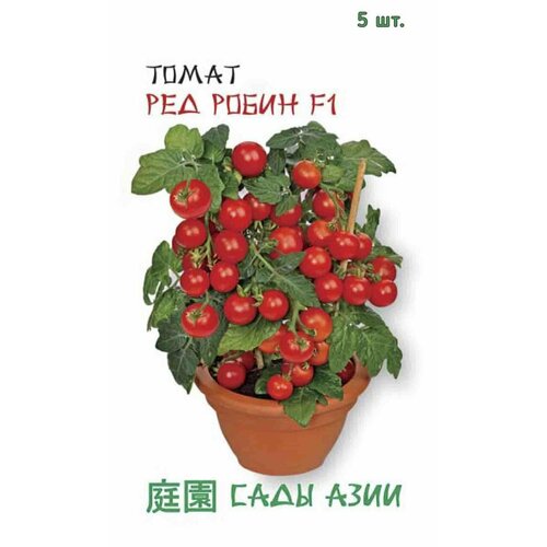 ���� ������ ����� ��� ����� F1 5 �� ���� ����, ������ �� 301 ���