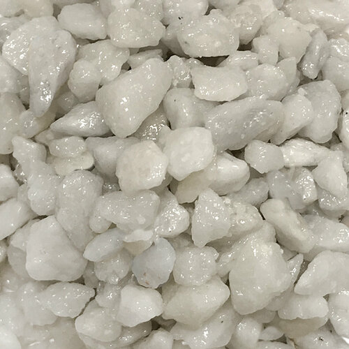 ���� ����������� ����� ��� ��������, ����������� � ��������, Zoo One, ��������� ��������, 