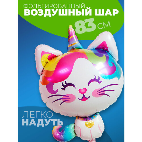 ���� ��������� ��� ������� ��������, ������ �� 443 ���