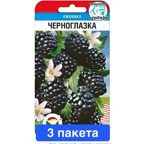 ���� ������ ������ ��������� ��� 