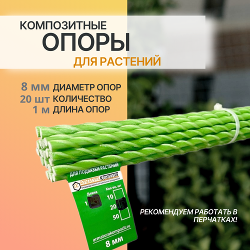 ���� ����� ������� 8 ��, 20 ���� �� 1 � ��� �������� �������� ����������� (�������) 