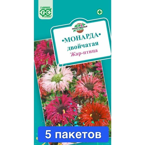 ���� ������ ������ ������ 