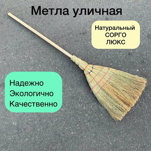 ���� ����� �������, ���������� �����, ����� ����, ����� 120��, � ������, ������ �� 800 ���