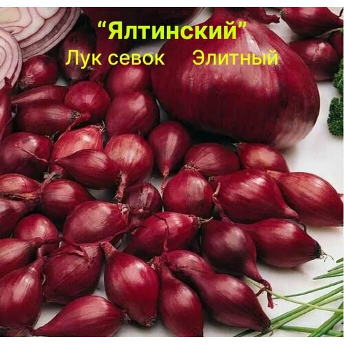 ���� ��� ����� �� ������� ��������� ������� 800��, ������ �� 1050 ���