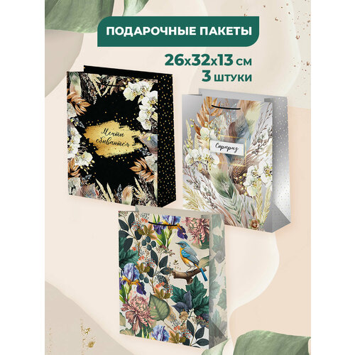 ���� ���������� ����� ��� �������, ������� 