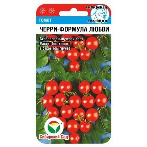 ���� ������ ����� �����-������� ����� 20�� ��� ������ (��������� ���), ������ �� 49 ���