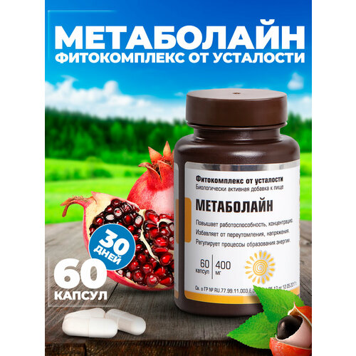 ���� ������������ �� ��������� ����������, ������ �� 1050 ���