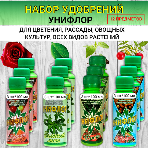 ���� ����� ��������� ������� ����� + ������� ���� + ����� + ���� �� 300 ��, ������ �� 365 ���