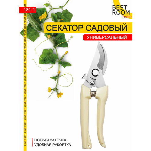 ���� ������� ������� ������������� ��� ��������, ��� ������, ������ �� 250 ���