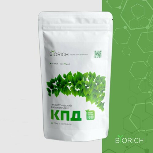 ���� ����������� ������� ������� 