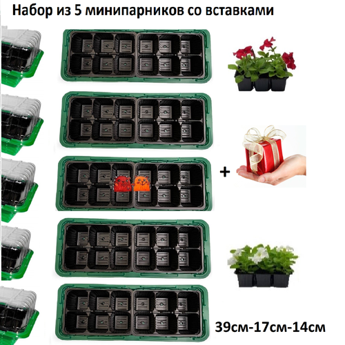 ���� ����� ����-������ 5��. �� ���������., ������ �� 890 ���