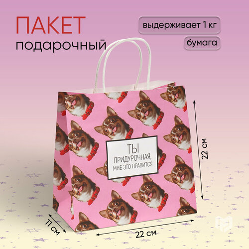 ���� ����� ���������� ��� �����������, ��� ��� ���������, 22 � 22 � 11 ��, ������ �� 177 ���