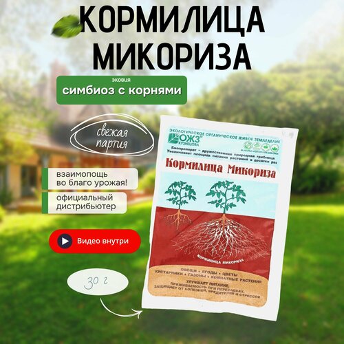 ���� ��������� ��������� �������� 1 �� �� 30 �����, ������ �� 130 ���