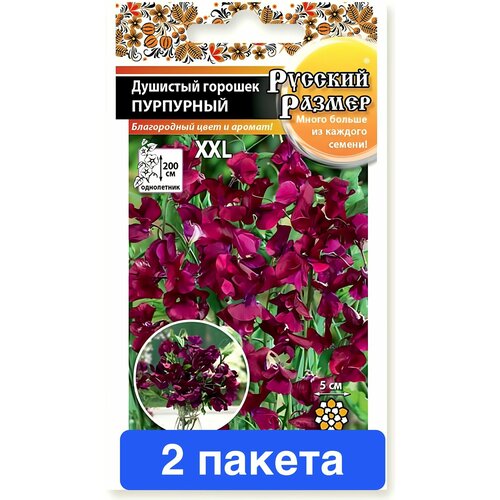 ���� ����� �������� ������� ������� ������ 2 ������, ������ �� 393 ���