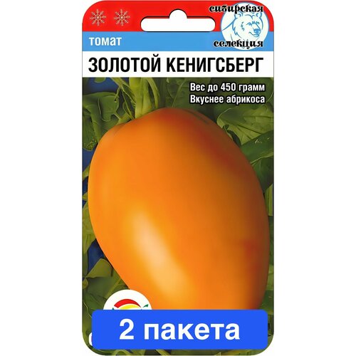 ���� ������ ������ ��������� ��� 