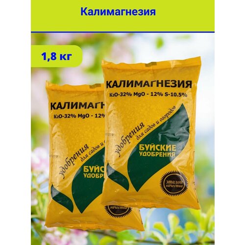 ���� ��������� 