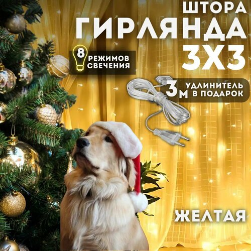 ���� �������� 