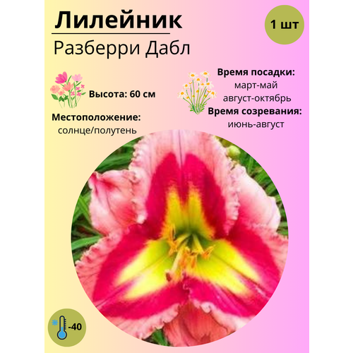 ���� �������� �������� ����, ����������� ����� / ������ 1 ��, ������ �� 380 ���