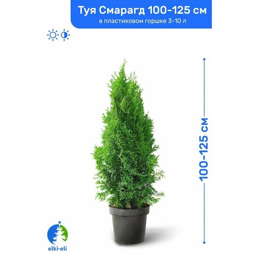 ���� ��� �������� ������� 100-125 �� � ����������� ������ 3-10 �, �������, ������� ����� ��������, ������ �� 3999 ���