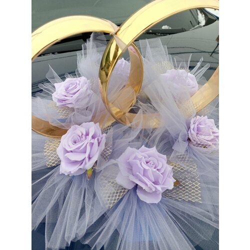 ���� ��������� ������ �� ������ ������ � ������� (���������) � ������� Exclusive, ������ �� 2799 ���