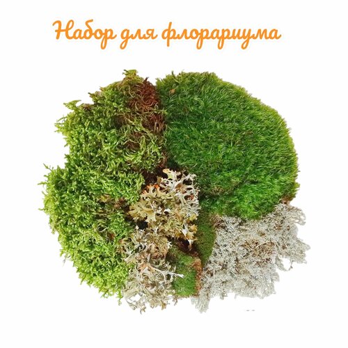 ���� ����� ��� ����������. 4 ���� ���. ��� ��������, ��������, ��������, �������. ����������� �����., ������ �� 1299 ���