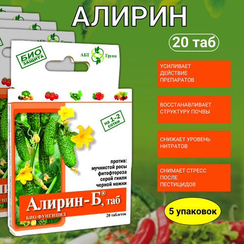 ���� ����������������� �������� ������ � �������� �� ������ ������ ����� ��������� ���� ����������� 20 �������� 5 ��, ������ �� 539 ���