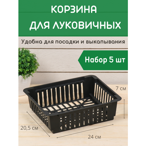 ���� ������� ��� ���������� ������������� ����� 5 ��, ������ �� 477 ���