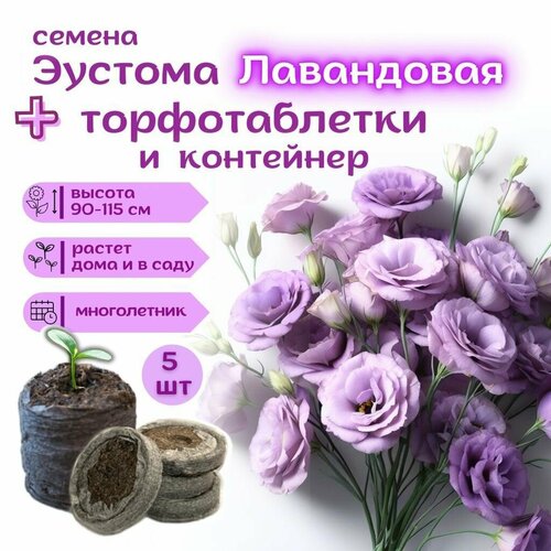 ���� ������ ������� ������������ ��������� (����������) �����������, ��������� ��������� + �������� �������� Jiffy � �������, 5��, ������ �� 369 ���