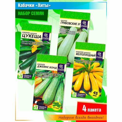 ���� ����� ����� �������� 4� ������ 