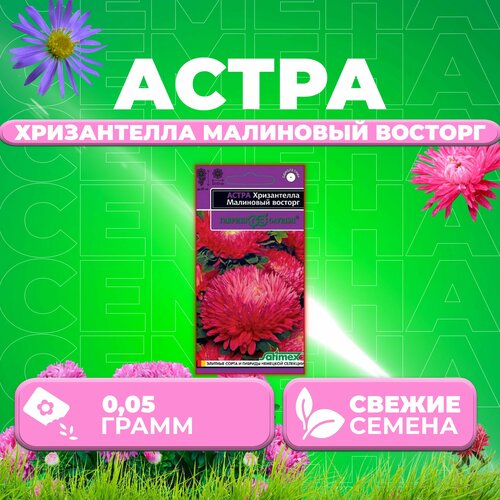     , 0,05, , Satimex (1 ),   416 