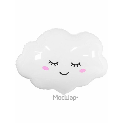 ���� ��������� ��� �������������� ������ ������� 74*60 ��, ������� �� ���� �������� ������, ������ �� 271 ���